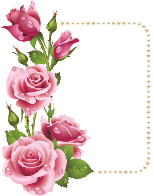 pngegg (78).png