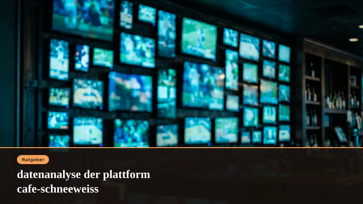 datenanalyse der plattform cafe-schneeweiss