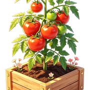 1000195707