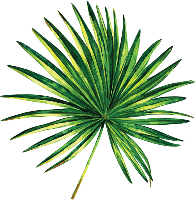 70fc26c30e05fd488fe4706076b423cf.png