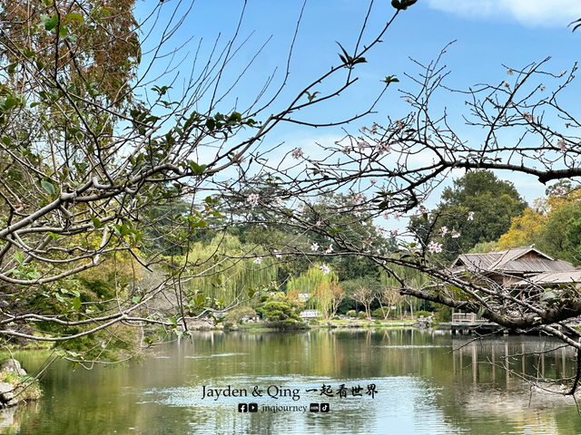 花港观鱼2.png