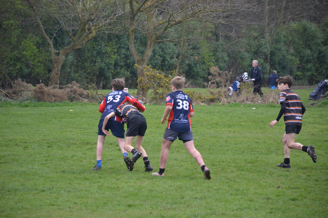 DSC 1296.jpg