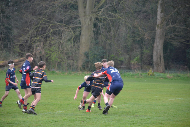 DSC 1208.jpg