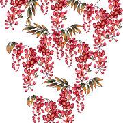 c0a786e4ea91a57e495c1a610fa3c72e (1)