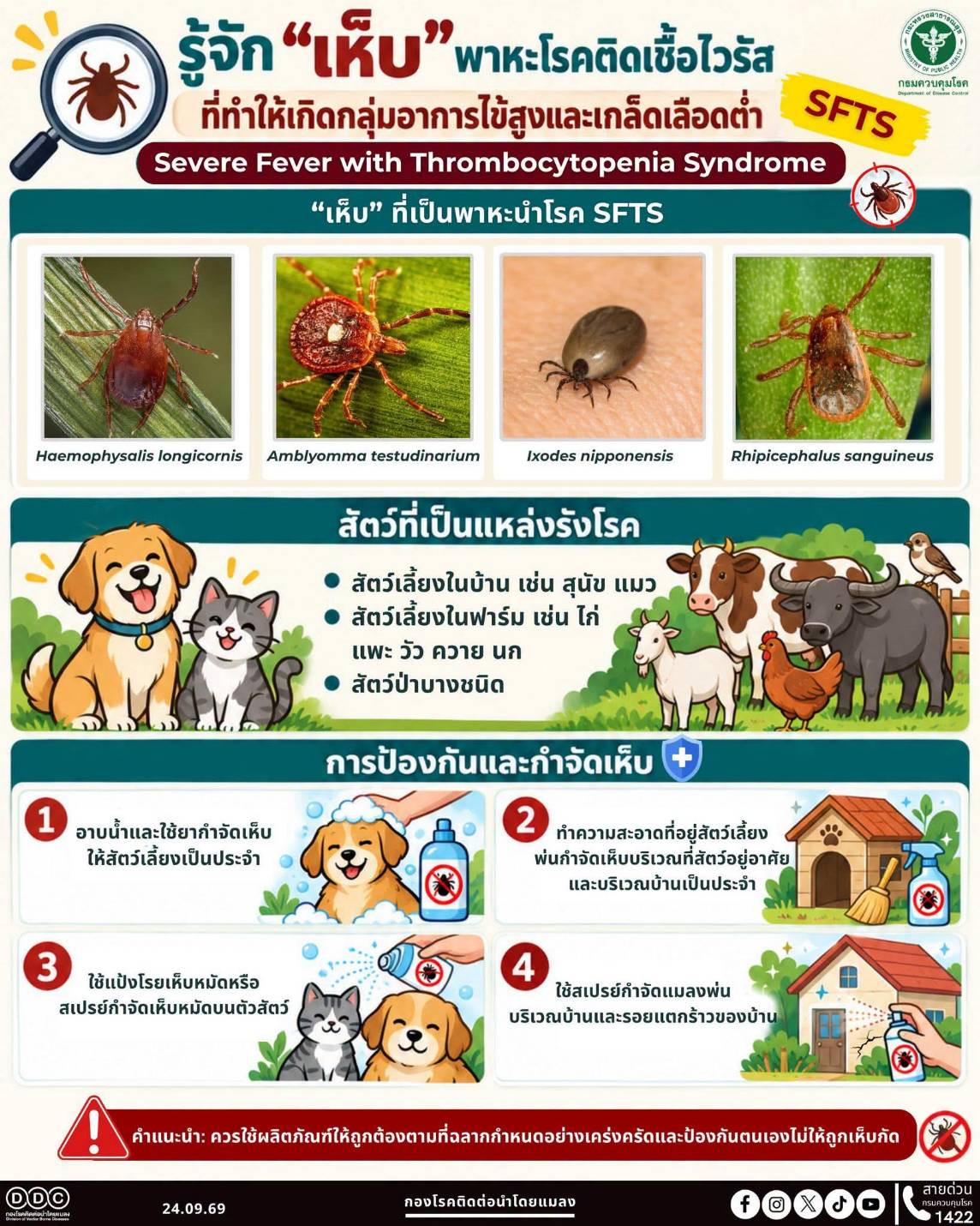 รู้จัก "เห็บ"  พาหะโรคติดเชื้อไวรัส SFTS (Severe Fever with Thrombocytopenia Syndrome: SFTS)