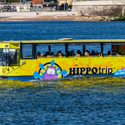 DSF5616