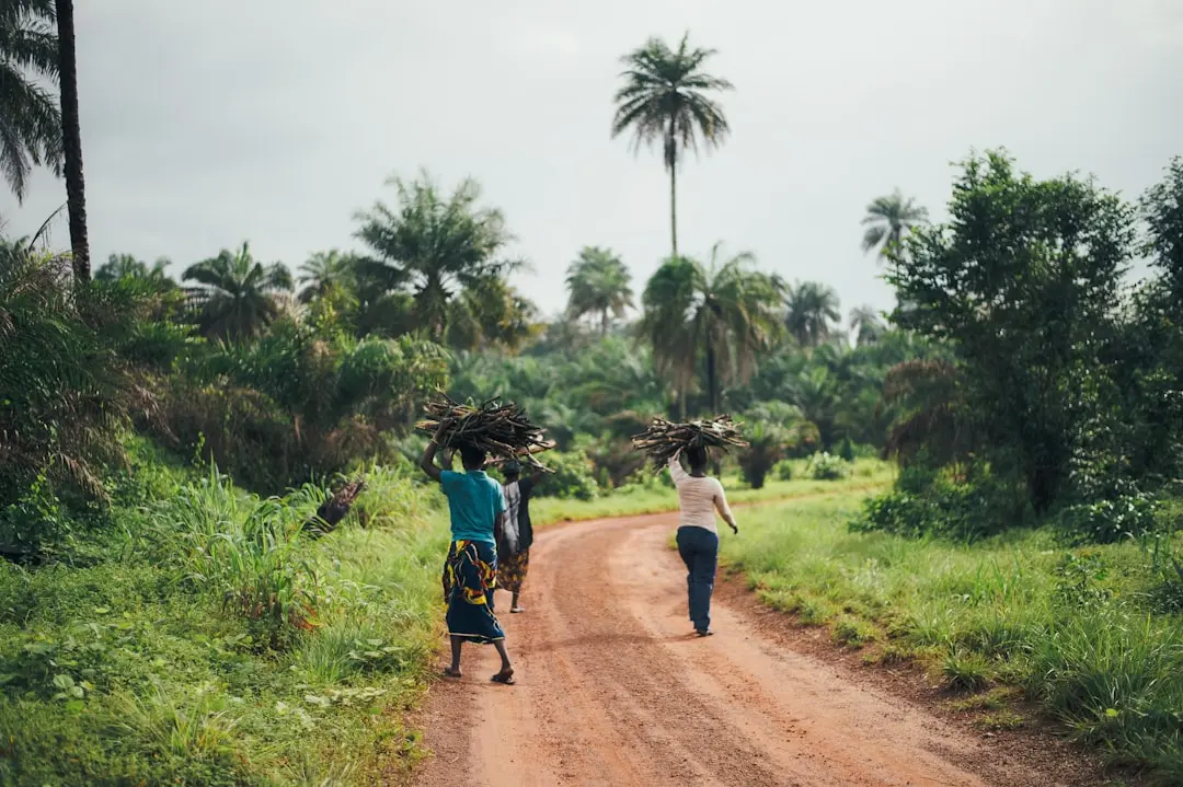 Cazurile de Ebola din Congo vor fi tratate în Kenya