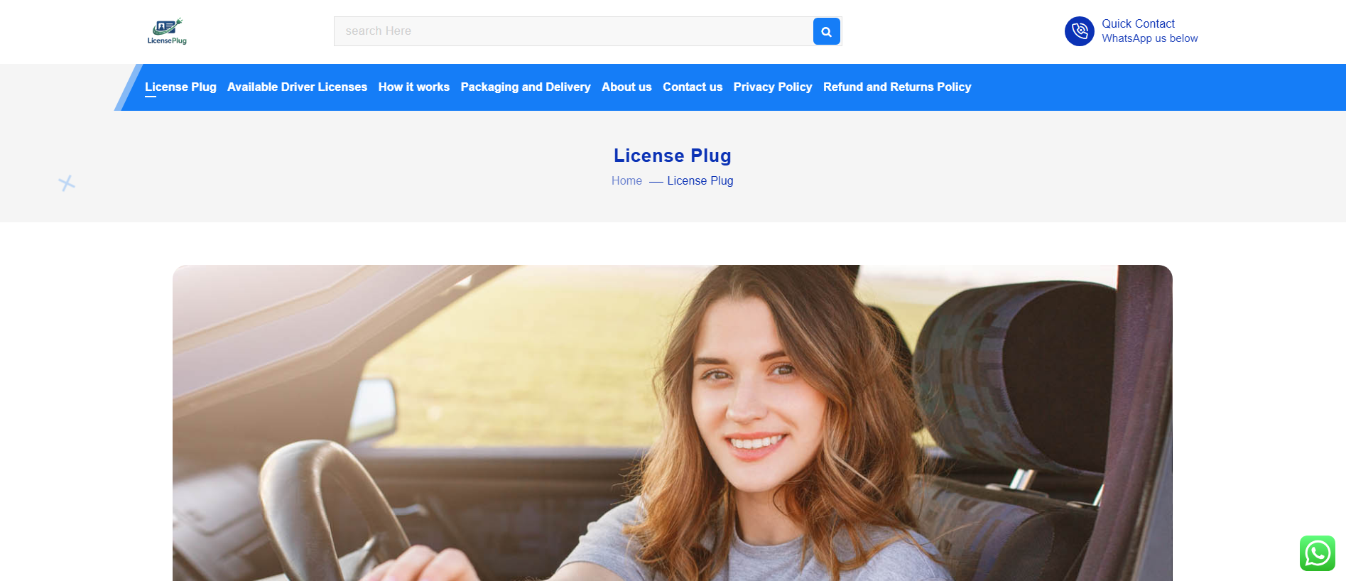 Screenshot of licenseplug.com