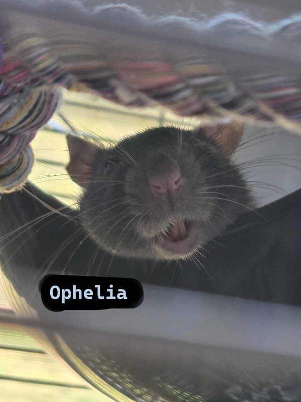 Ophelia