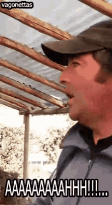 IMG-2089.gif