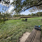 IMG 4559