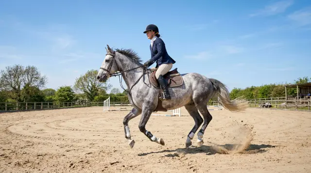 Mastering the Perfect Canter Transition