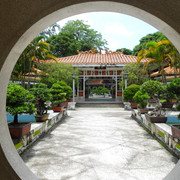 DSC00583