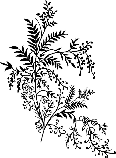 447dbbf099cc2dcfab08ddf5b370e5a2.png