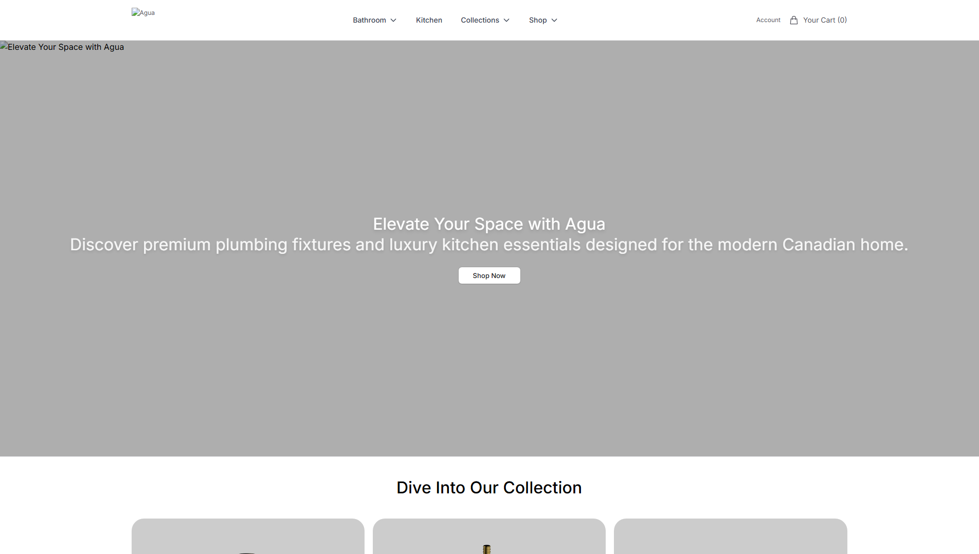 Stored capture of aguacanadadesign.shop