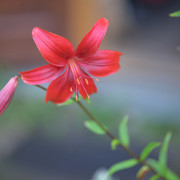 0023