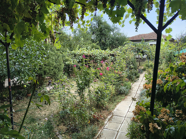 garden.jpg