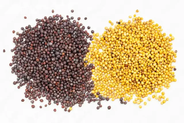 Mustard seeds