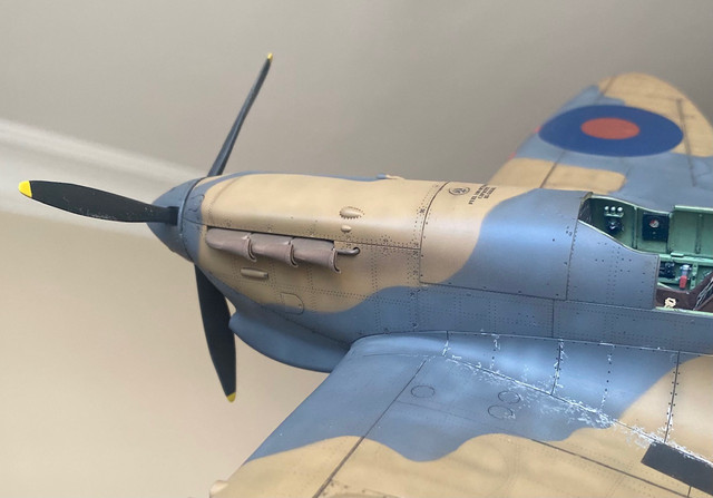 176.jpg