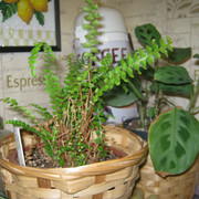 IMG 6473