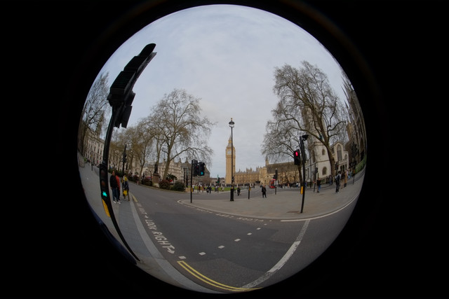 DSCF8856.jpg
