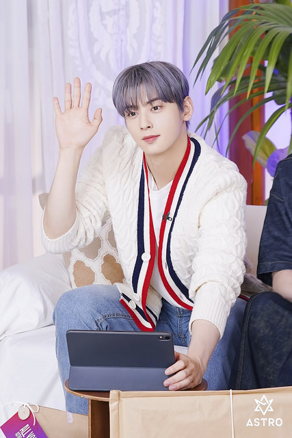 cha eun woo 1181691
