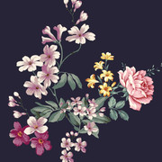 a12b0f7daefd6aeae9bbe8842f606e36
