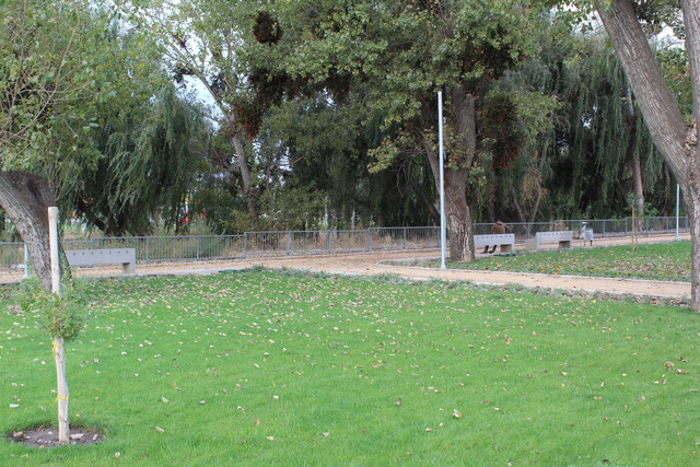 IMG-2474