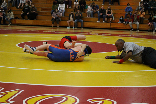 IMG-0206