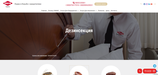 Дезинсекция