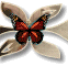0-2edcd-9f826717-L