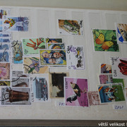 IMG-3507