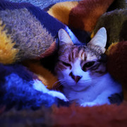 IMG-20220102-142507