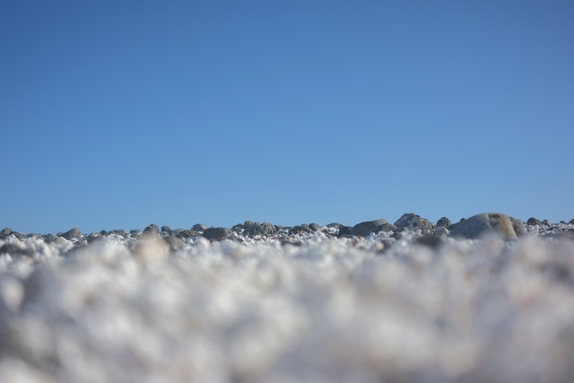 DSCF8485.jpg