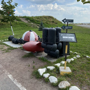 IMG-2846