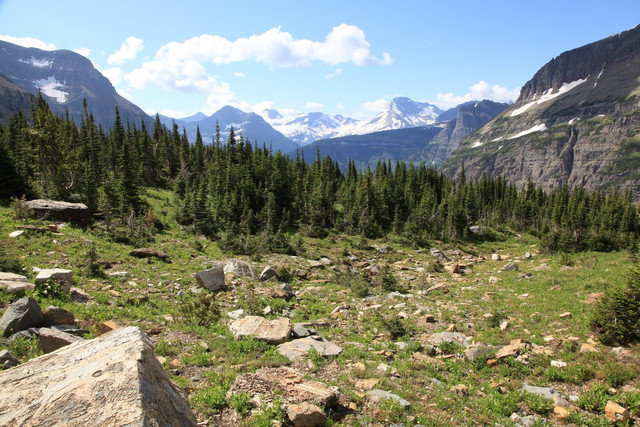 IMG-2134.jpg