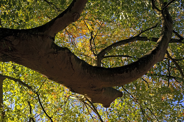 DSCF3545.jpg
