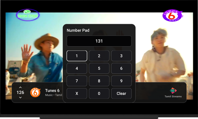 Tamil Streams app screenshot - Jump to Any Channel by Number