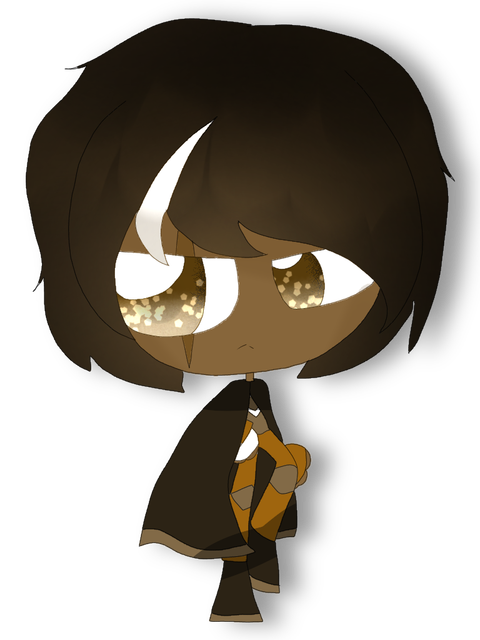Dark-Choco-Cookie