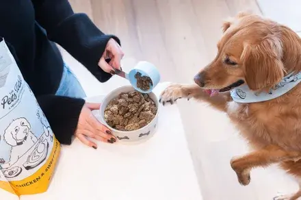 A New Era for Canine Cuisine: Fresh Food Delivery Gains Popularity