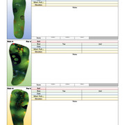 Ballers Arena (Back 9) Tournament Notes Sheet
