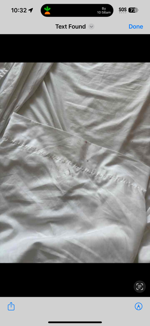 IMG-2581