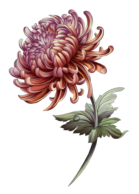 4eb6fef298d235ab76d1d528faef1a51.png