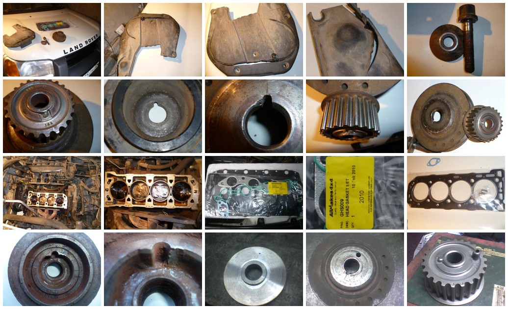 https://i.ibb.co/vC73jgkc/1666-collage.jpg