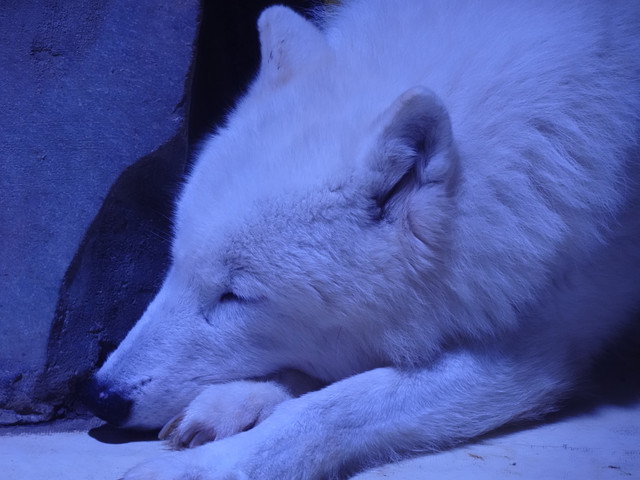 DSC09985.jpg