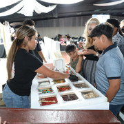 IMG-8849