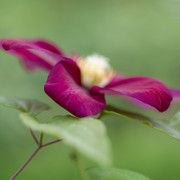 DSC03912 копия