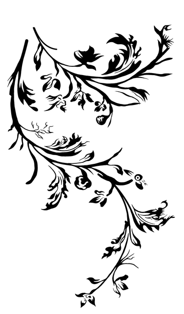 a0dc21cacce43f87336a16d39fc6c9c3.png