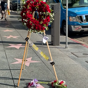 flowers on star