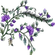 Untitled 1 png